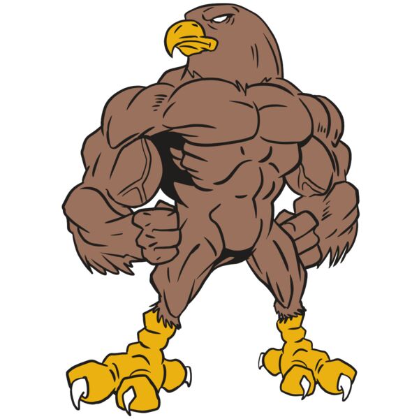 AR13 FALCON 01 RQC Thumbnail