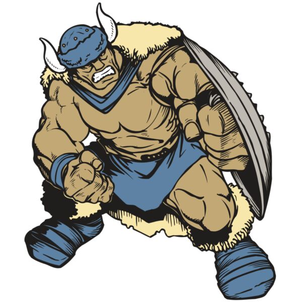 AR VIKING 36 RC Thumbnail